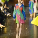 Read more about the article ASARTI
